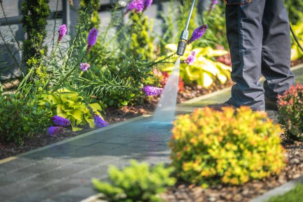 Best Pool Deck Cleaning  in Mlstadt, IL