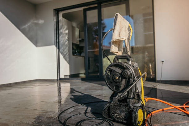 Best Pre-Holiday Cleaning  in Mlstadt, IL